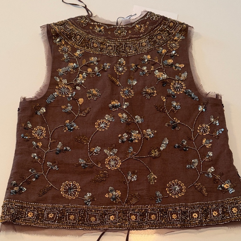 Zara Brown Embroidered Lace-Up Top with Metallic Accents - Picture 2 of 4